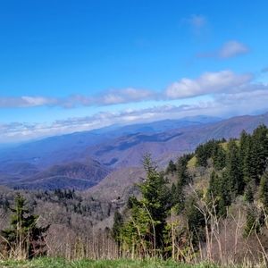 Meet your Posher, Antonia